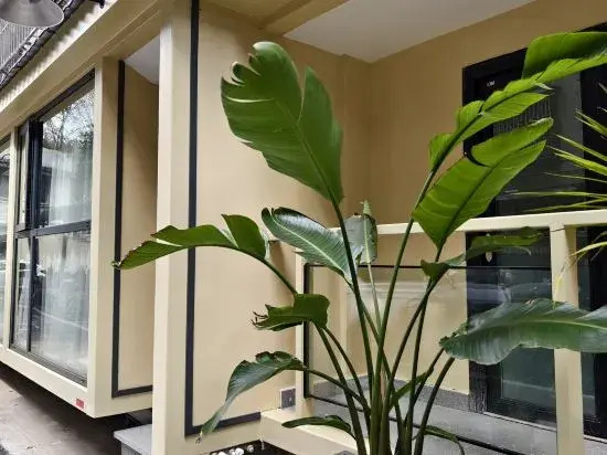 Jiugangling 40 B & B (Guilin Xiangbishan Liangjiang Sihu Branch)