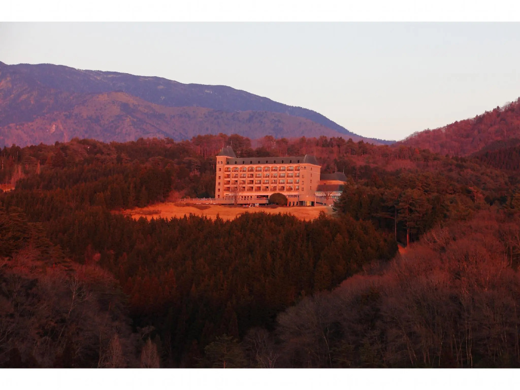Hotel Windsor