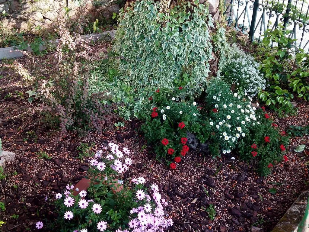 Casa Jardín de la Plata