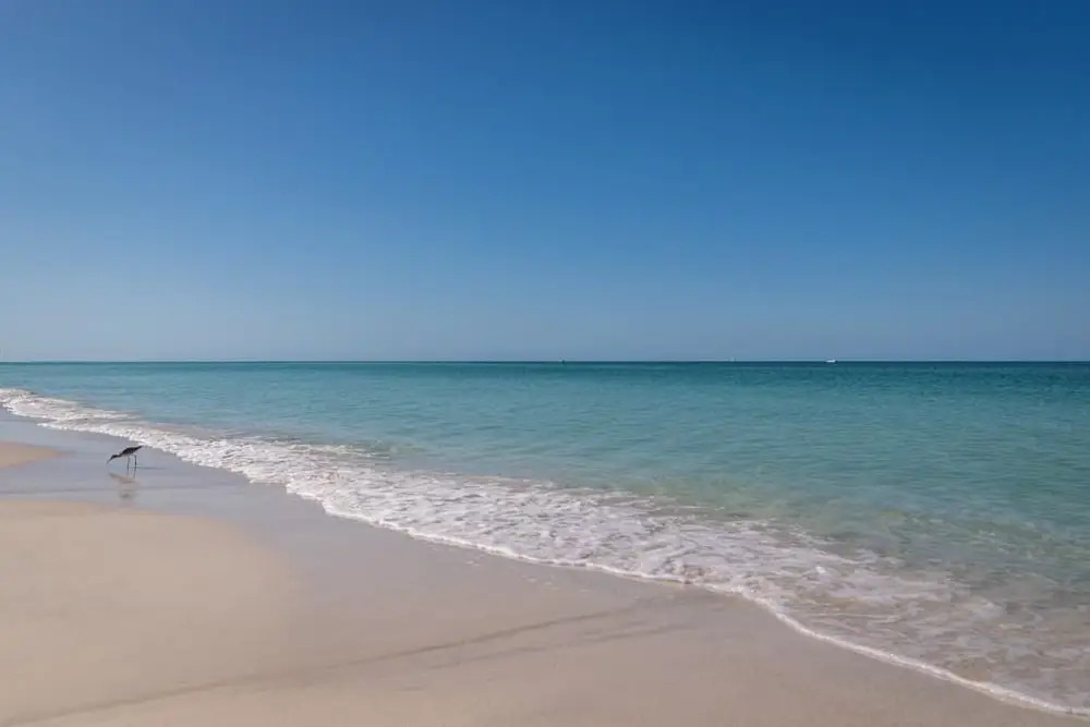 Palm Cay 5