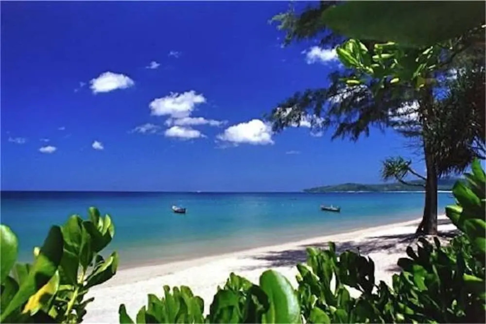 Bliss Patong Modern Studio
