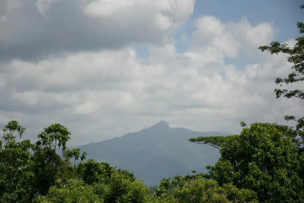Kandyan Glory