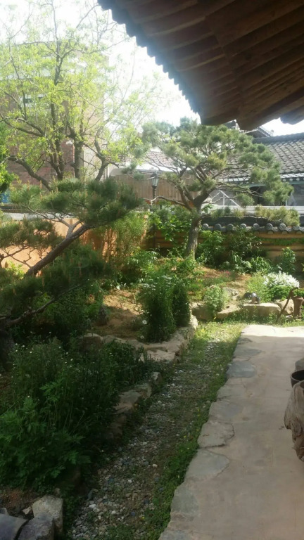 Hanok Dream