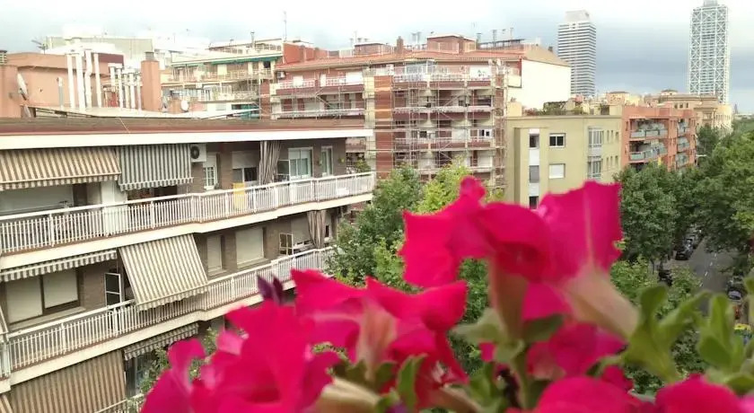 Freemove Sardenya