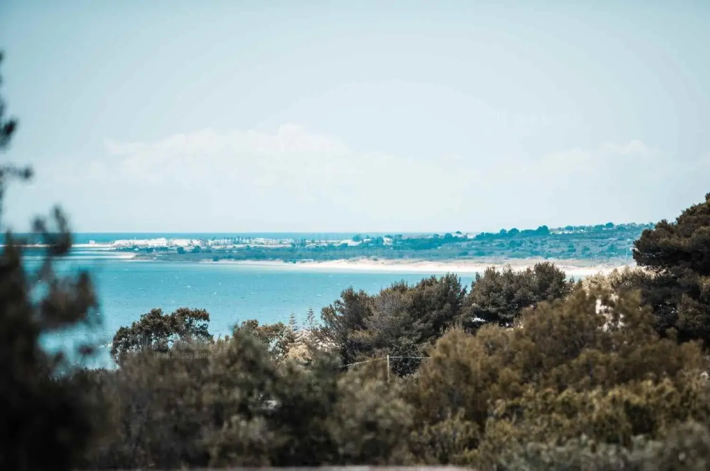 Apt B - Beach View Villa Controvento
