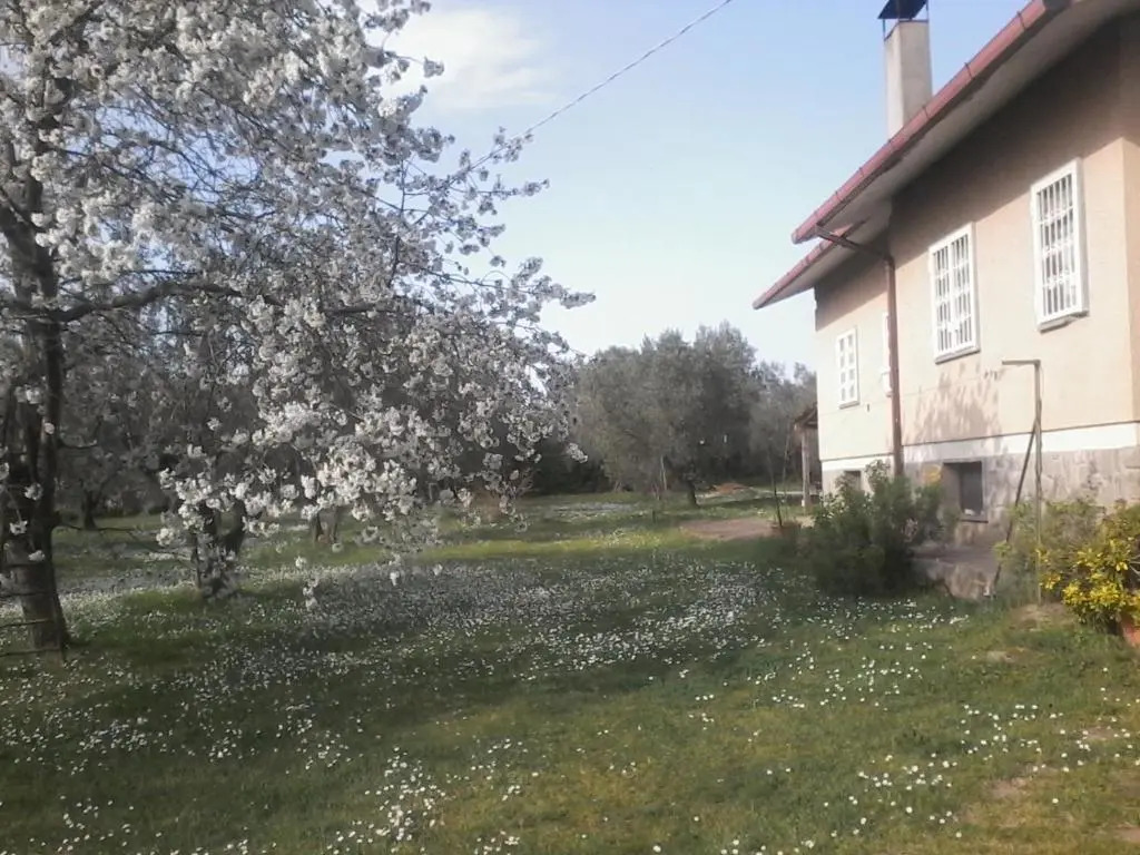 Casa Vacanze La Tartaruga