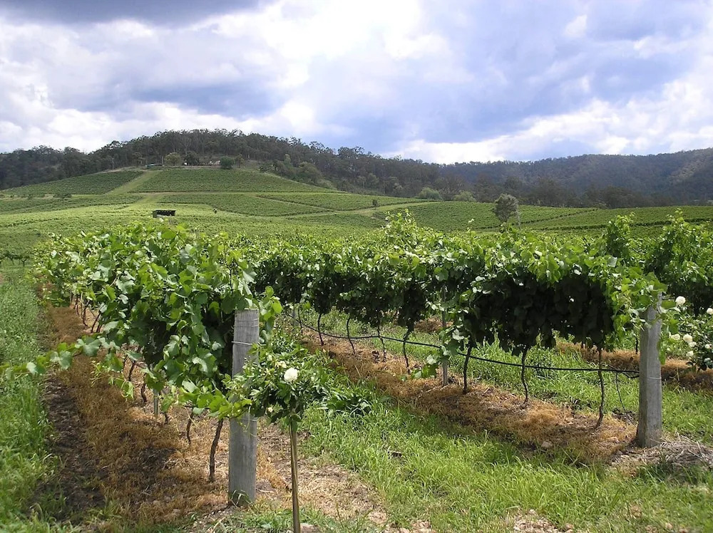 Anja's Place in the Hunter Valley