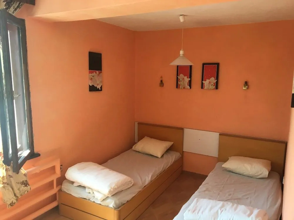Hair of the Dog Hostel
