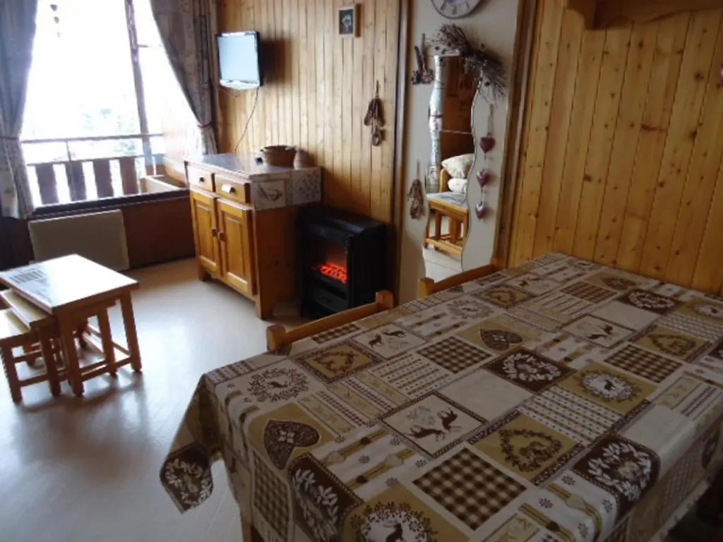 Appartement La Clusaz, 1 pièce, 5 personnes - FR-1-459-55