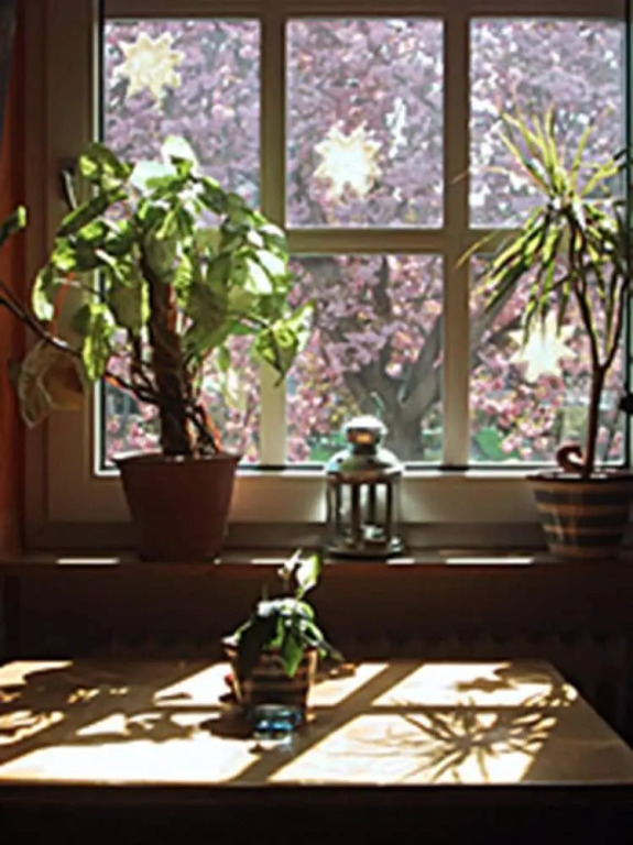 Rosengarten