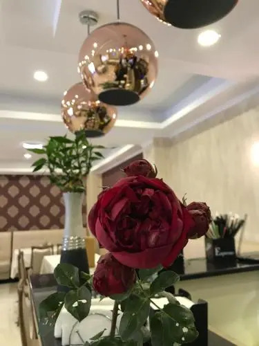 Hotel Terra Iasi