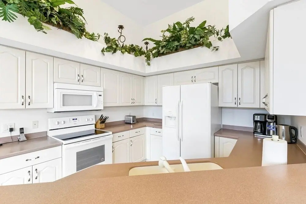 Ivory Home #13002