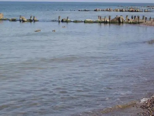 Maritim