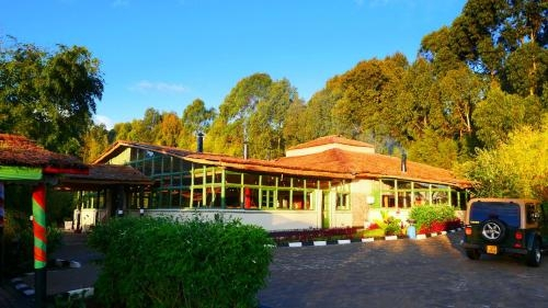 Le Bambou Gorilla Lodge
