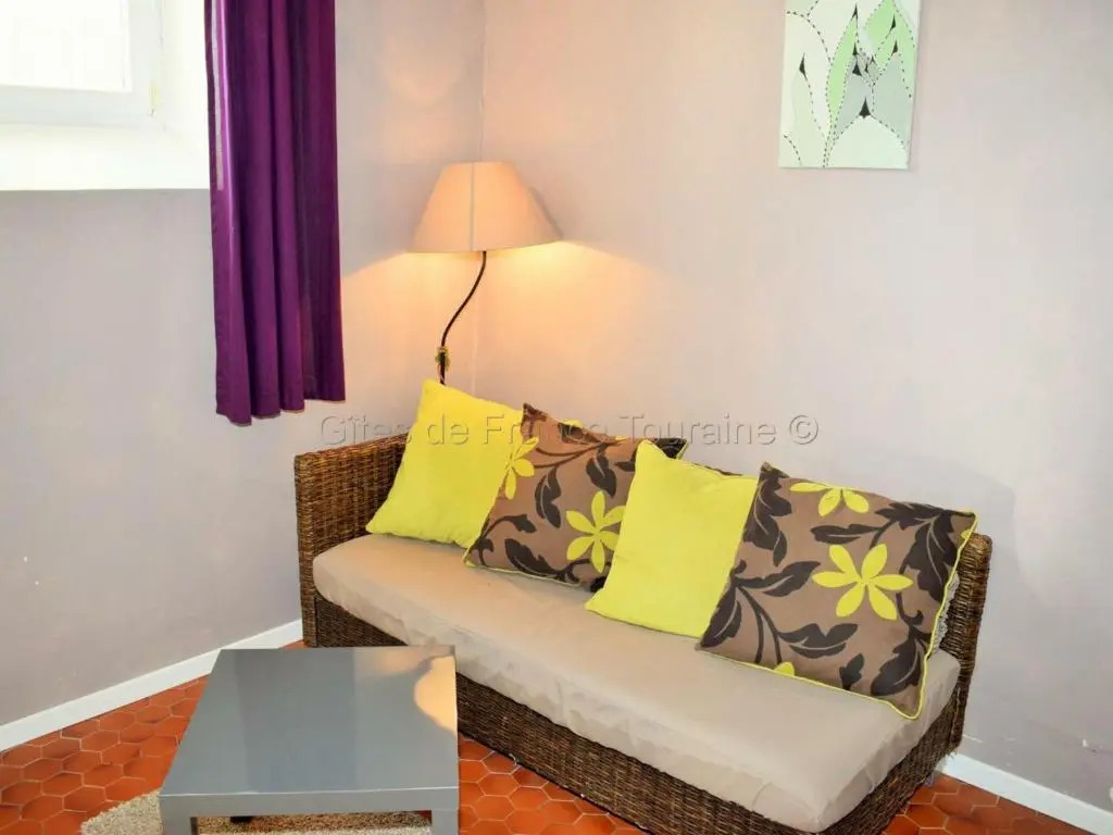 Charmante maison proche Châteaux de la Loire - FR-1-381-371