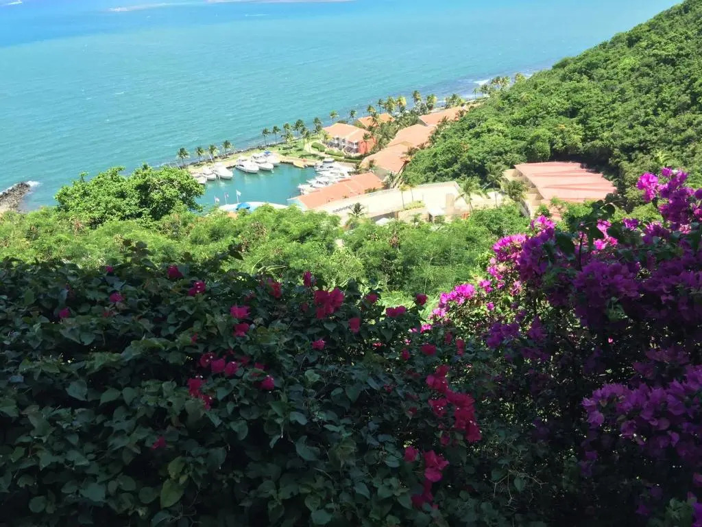 Marina Lanais 609