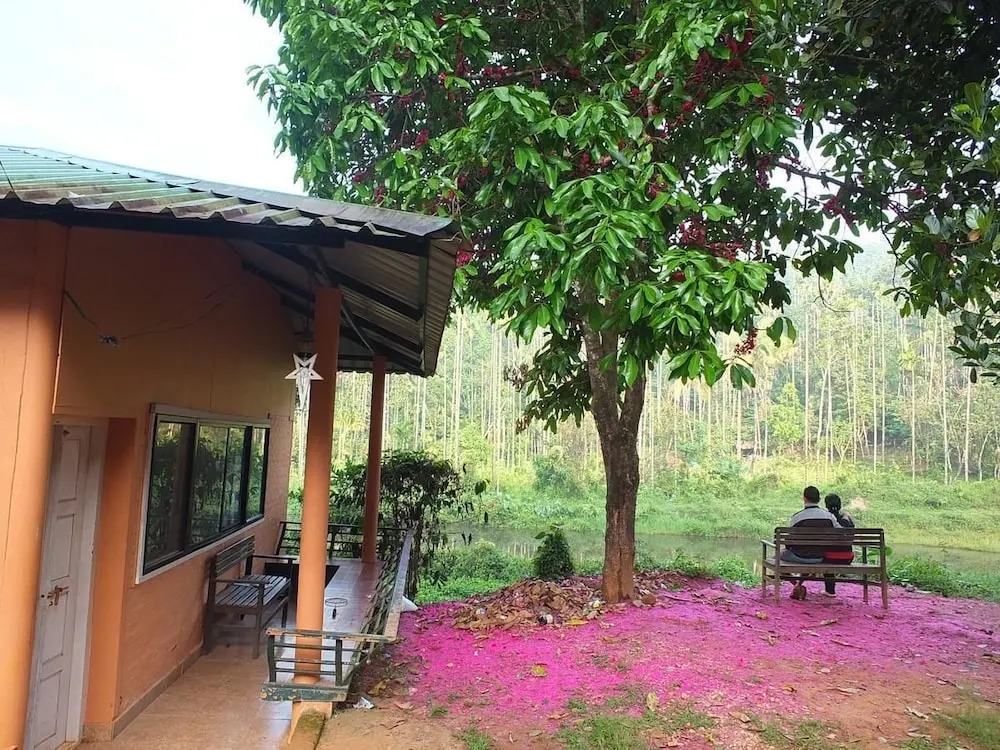 Jungle Valley Resort
