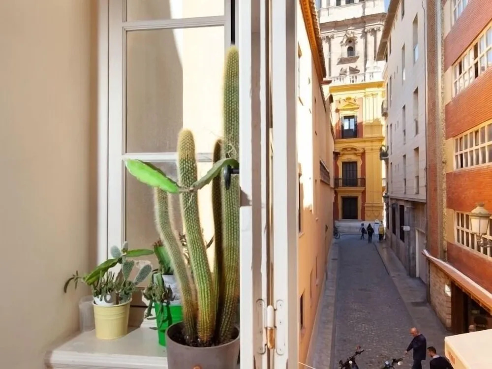 INMálaga Fresca 2