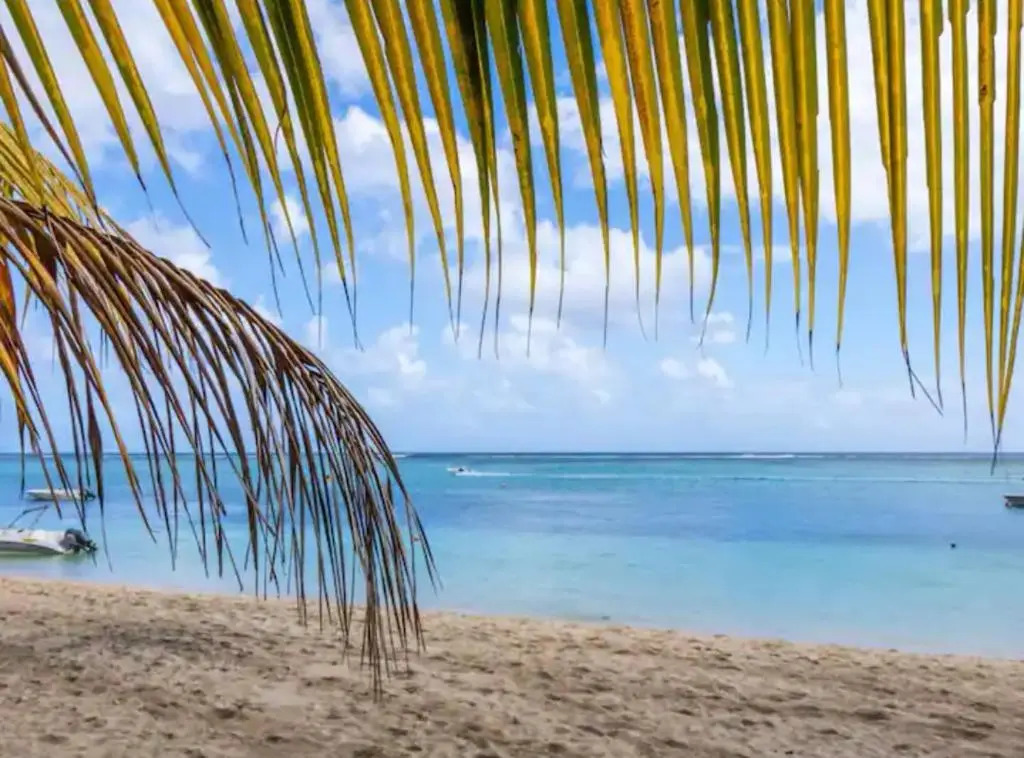 Carré d'or v luxury 3bed duplex with private pool and rooftop sea view flic-en-flac, Mauritius 20mins walk to beach, bar, restaurants and amenities