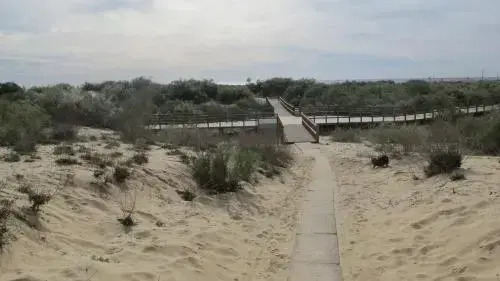 Praia da Lota Resort - Apartments