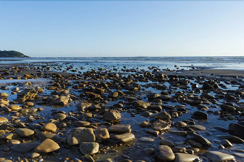 Taean Sea Sunset Pension