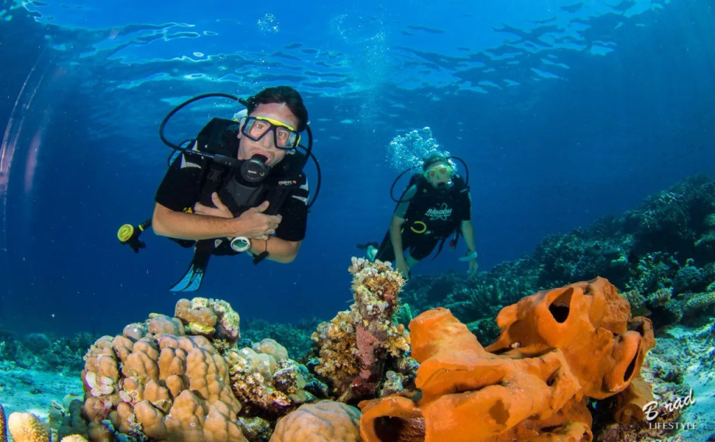 Sifa Diving Resort
