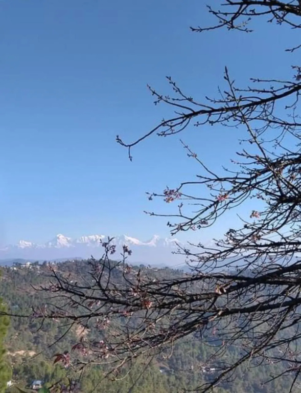Sharda Stays Binsar Himalayas
