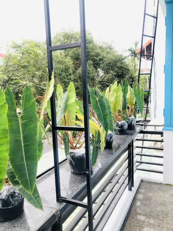 An\s Family Homestay Hoi An - 5mins walk to Hoi An Ancient Town