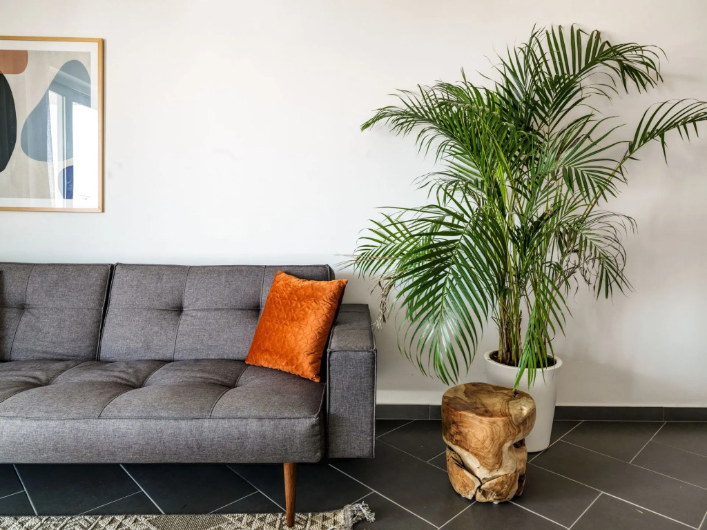 LIV URBAN Suites