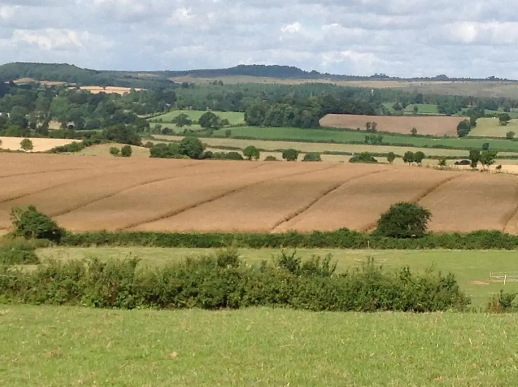 Lower Pinn Farm