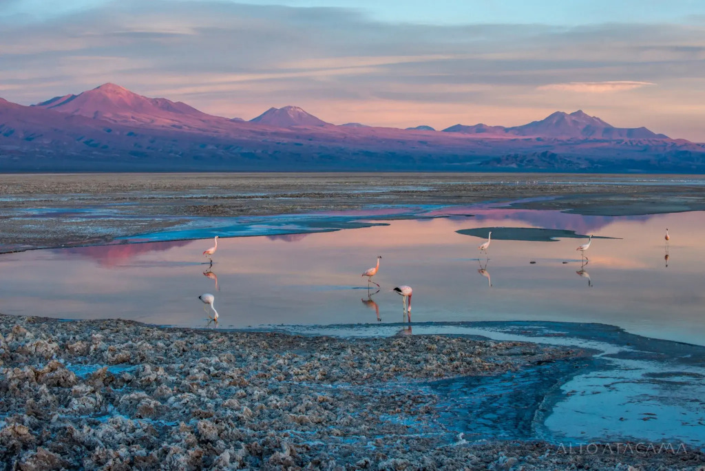Nayara Alto Atacama