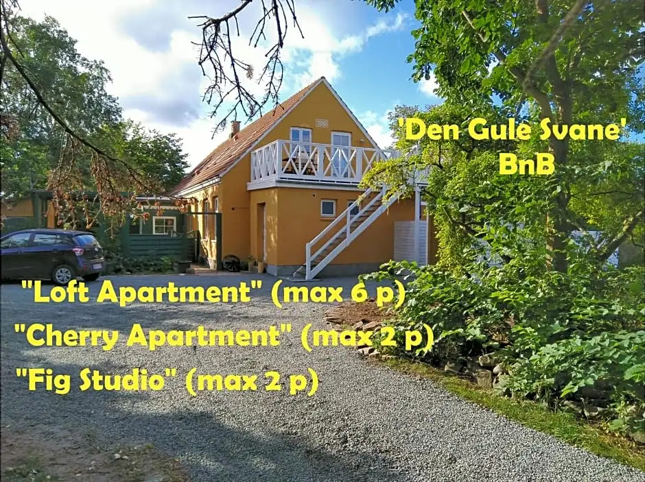 The FIG Studio - Boutique Guest House - near Rønne & Beach