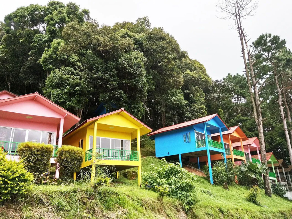 Mae Salong Resort