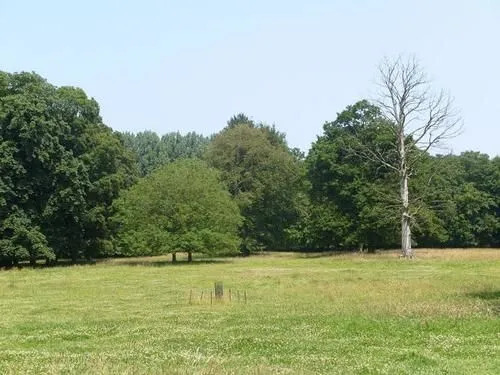Chateau de Couin