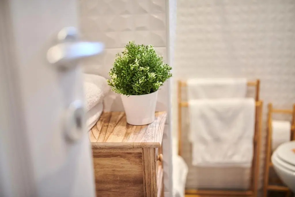 Apartment David with Hydromassage Bath near Umag