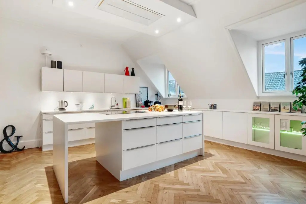 250 Sqm Smack Bang in the Center of Copenhagen
