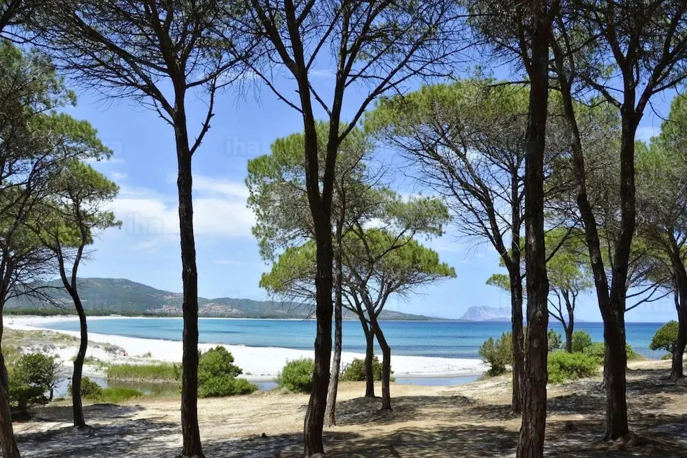 Apartment With one Bedroom in Provincia di Olbia-tempio, With Wonderful sea View, Shared Pool and Balcony - 2 km From the Beach