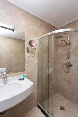 Flat 1 Bedroom 1 Bathroom - Bakuriani