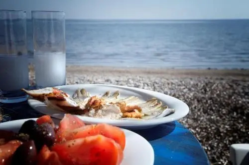 Evoikos beach & resort