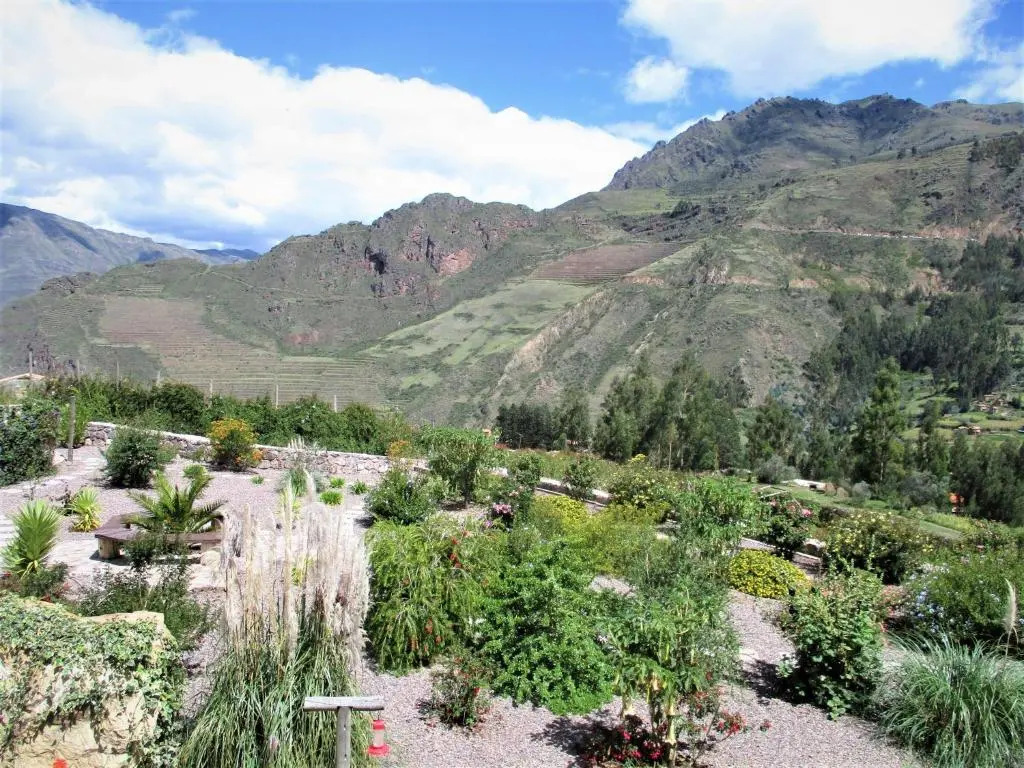 Casa de Oren