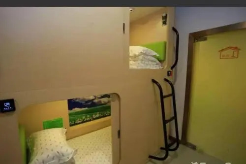 The Olive Tree Capsule Hostel