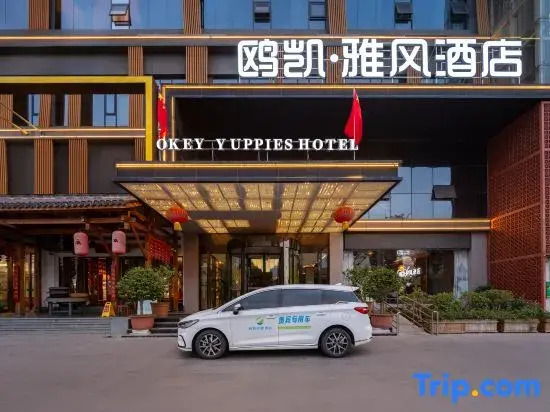 Nanyang Okey Elegant Style Hotel (Wanda Jianye Triumph Square Dushan Avenue Branch)