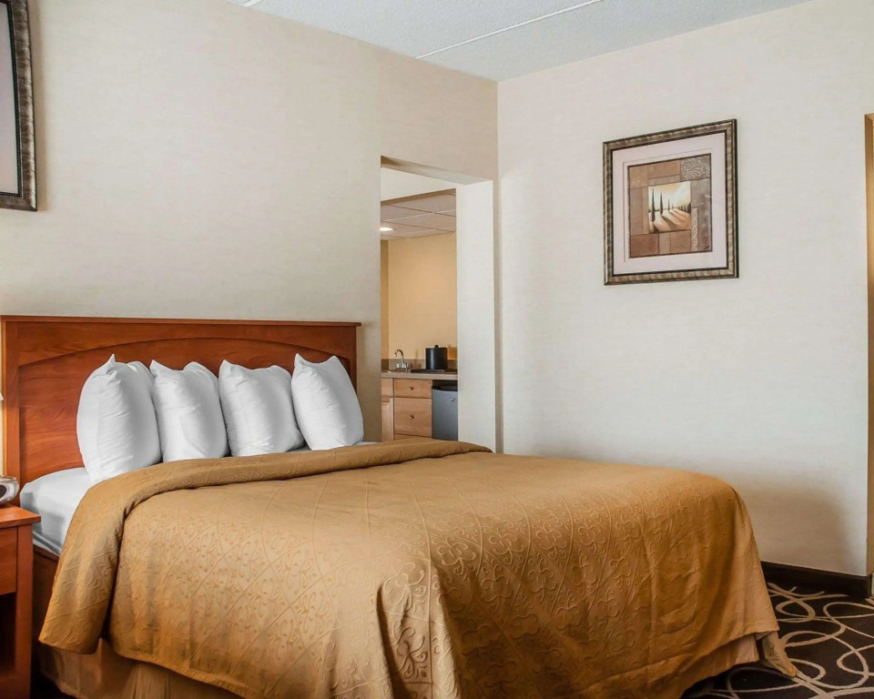 Quality Hotel & Suites At The Falls