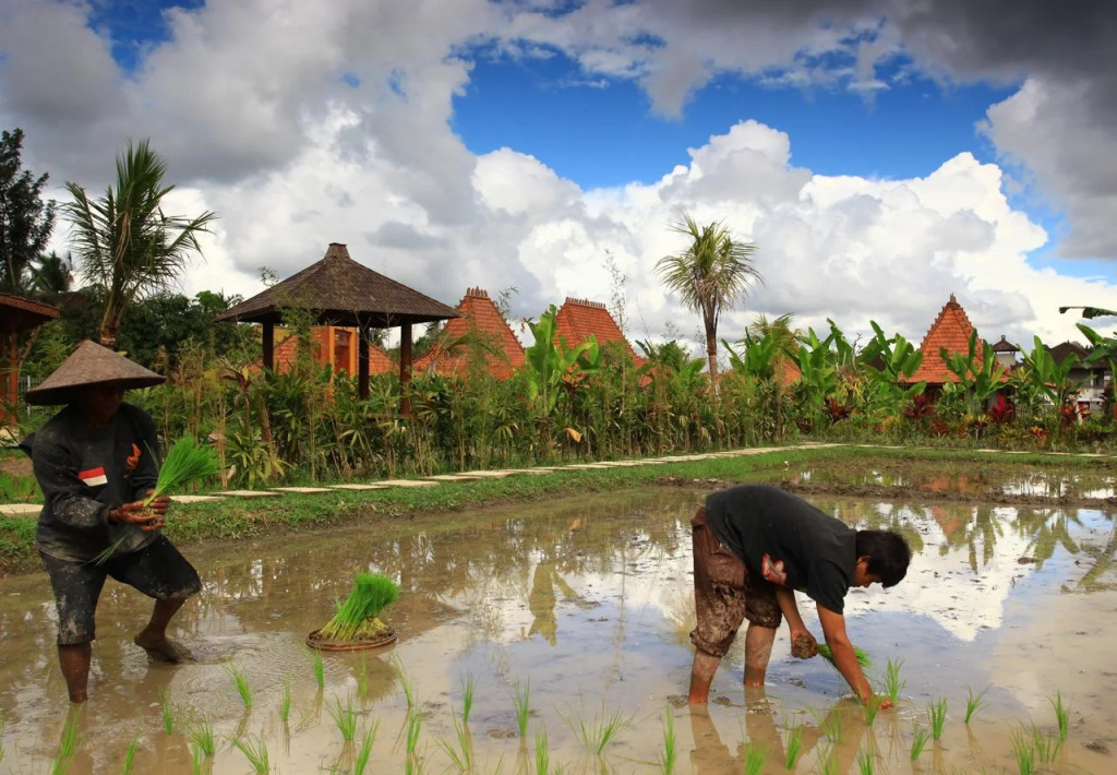 Ubud Heaven Penestanan