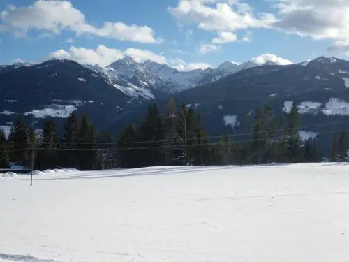 Austrian Alpine Apartments