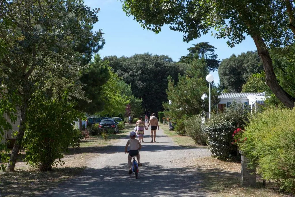 Domaine du Collet****