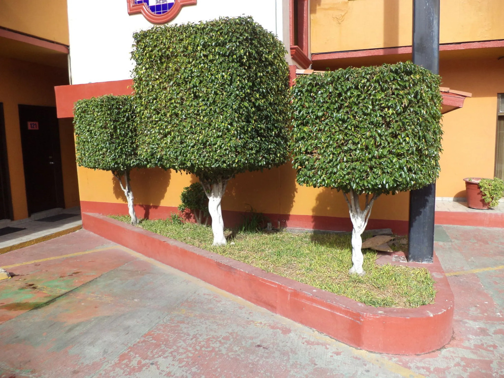 Hotel San Juan Inn