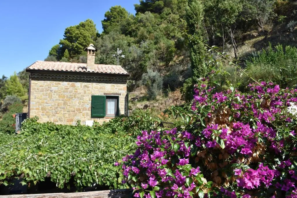 Bellezza In Cilento Panoramic Apts