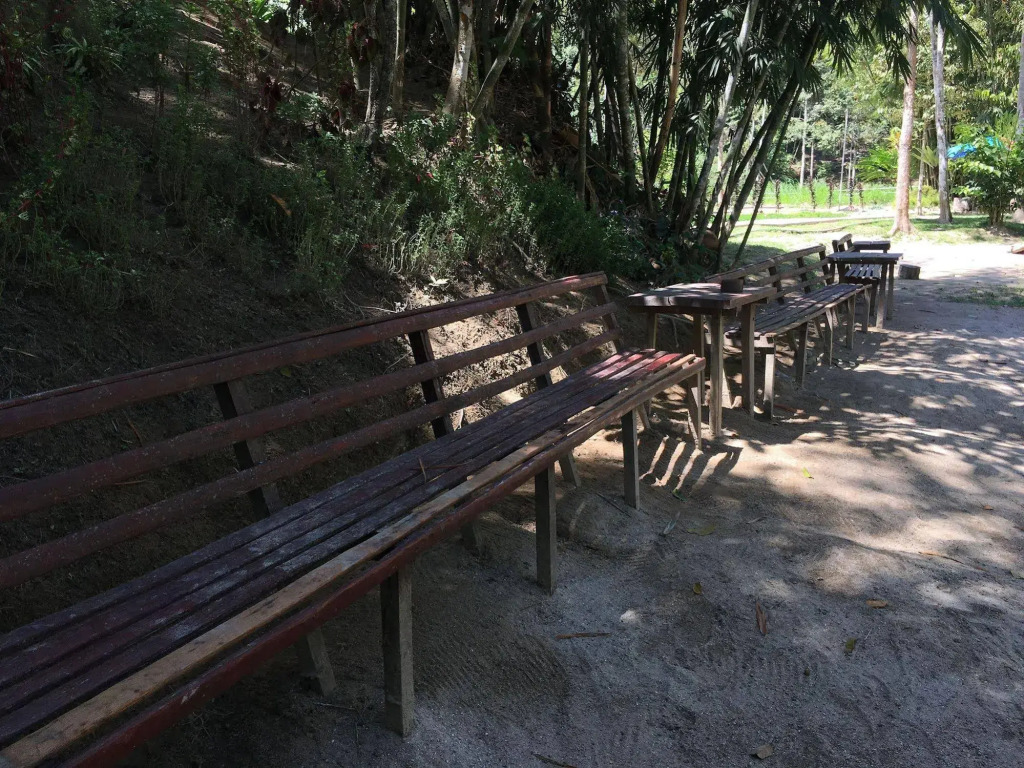 Rain Forest Inn