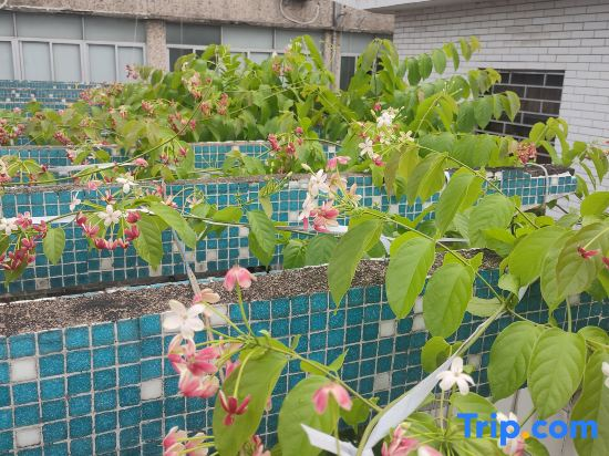Huakai Vacation Apartment (Guangzhou North Station Huacheng Road Subway Station)